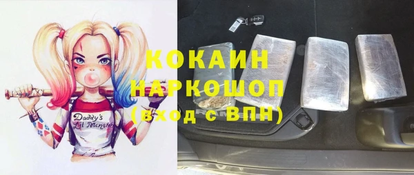твердый Володарск