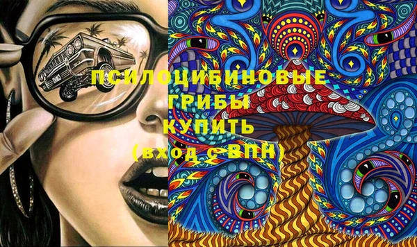 твердый Володарск