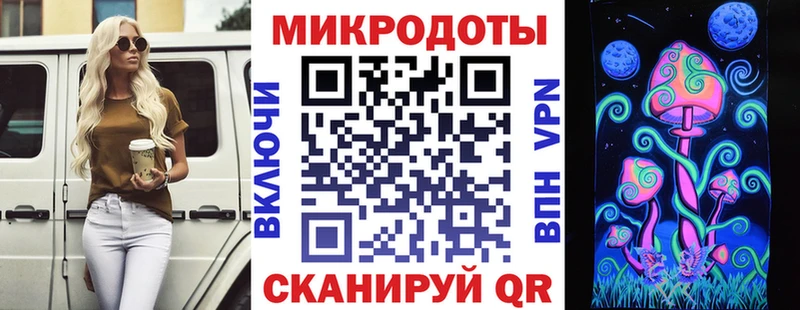 Купить  Мезень  Галлюциногенные грибы Cubensis 